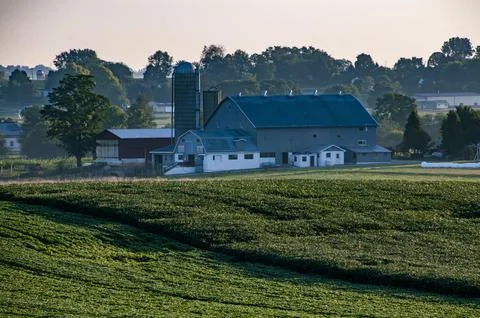 Rustic Farmstead at Dawn Stock Photos