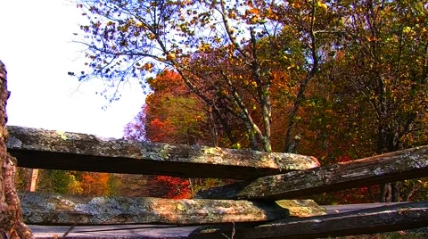 Rustic Fence  Video stock 905009