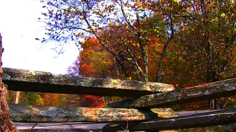 Rustic Fence  Stock Footage 905041