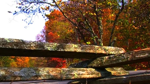 Rustic Fence Video stock 905073