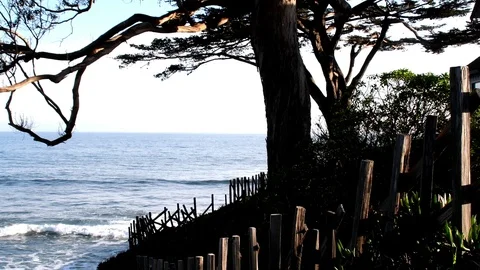 Rustic fence foreground move to tree and ocean breakers Видео 105128334