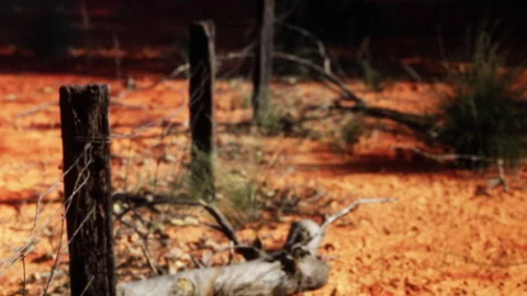 Rustic Fence Lines Embrace the Vibrant Red Earth Beneath a Clear Sky Stock Footage 344819064