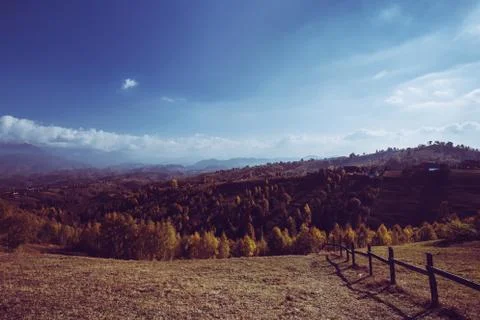 Rustic fence over plain and trees Stock Photos