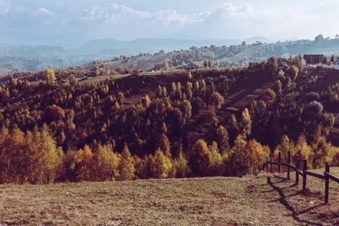 Rustic fence over plain and trees Stock Photos