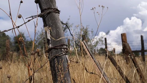 Rustic Fence post w/ barbed wire Stock Footage 108457967