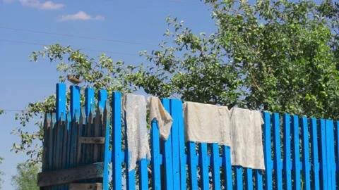 Rustic fence with trees and sky in the background. A Sparrow flies Stock-Footage 136052523