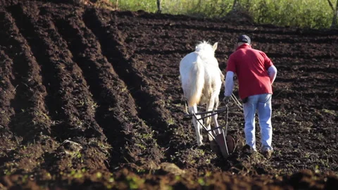 Rustic Field Plow Stock Footage 278125382