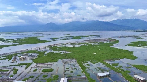 Rustic fish traps in Rawa Pening lake, Indonesia. Aerial Stock Footage 303810268