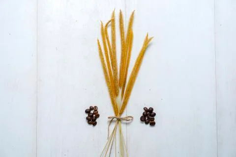 Rustic flat layout12 Stock Photos