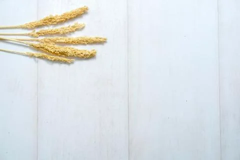 Rustic flat layout2 Stock Photos