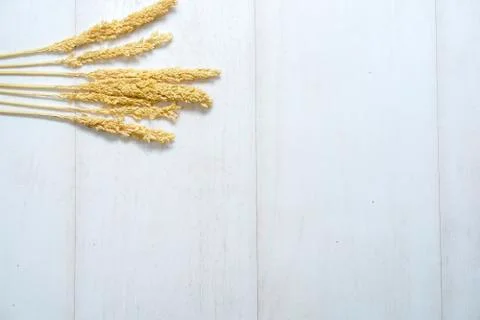 Rustic flat layout3 Stock Photos