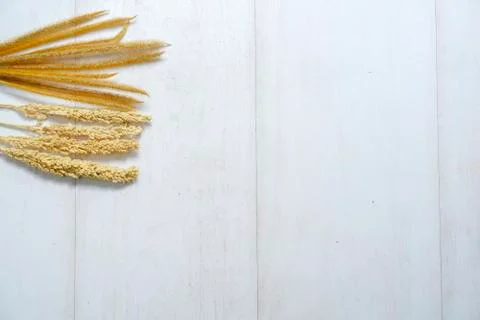 Rustic flat layout4 Stock Photos