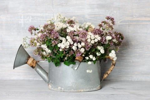 Rustic floral decoration Stock Photos
