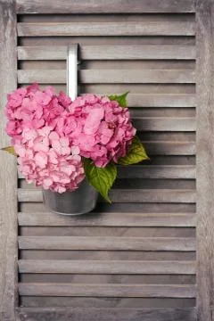 Rustic floral decoration Stock Photos