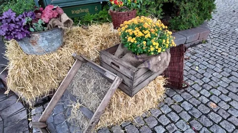 Rustic Flower Display with Hay Bales at Liseberg in Gothenburg Video stock 347681353