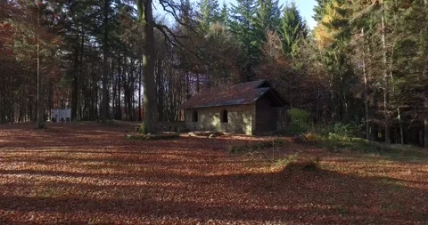 Rustic Forest Hut With Wooden Bench, Autumn Woodland Rest Area, Forward Move Stock-Footage 340362460