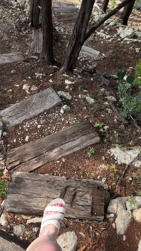 Rustic forest pathway leads to tranquil lakeside view with wooden steps Stock Footage 315524738