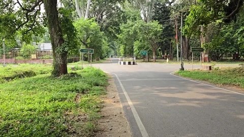 Rustic Four-Way Junction Amid Countryside Roads Stock Footage 313561189