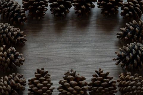 Rustic frame of pine cones on wood with copy space. Stock Photos