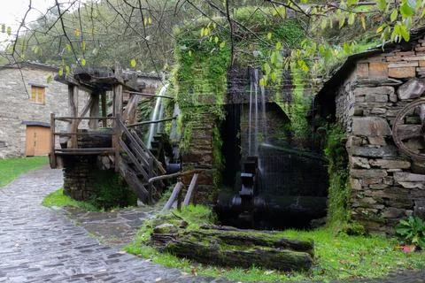 Rustic fulling mill surrounded by lush greenery and vines in a serene mount.. Stock Photos