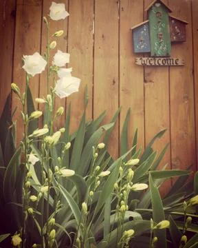 Rustic garden Stock Photos