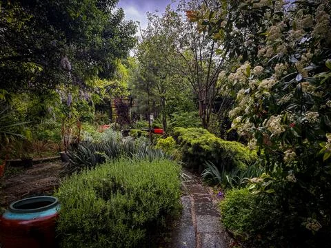 Rustic garden scene with trees, grass, wheelbarrow, countryside foliage, hedge Stock Photos