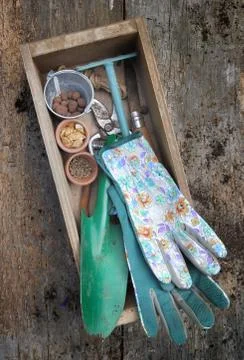 Rustic gardening tools  in a box Stock Photos