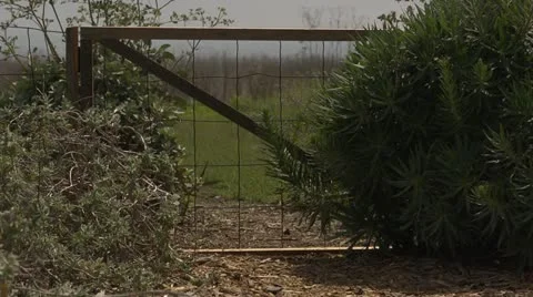Rustic gate and path Stock Footage 10900429