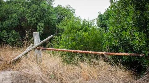 Rustic gate blocking path to nowhere. Passage blocked by nature and overgrown Stock Photos