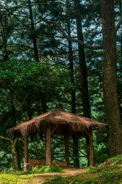 Rustic Gazebo in Lush Forest Foto stock