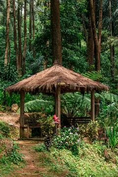 Rustic Gazebo in Lush Forest Setting Stock-Fotos
