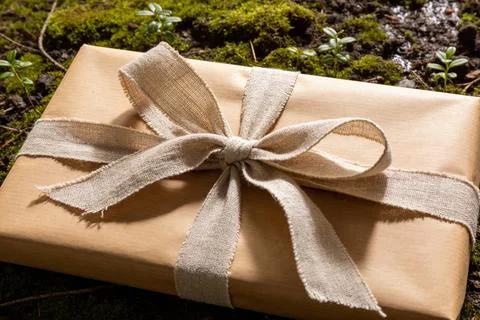 Rustic gift box wrapped in brown paper with a burlap ribbon on mossy forest.. Stock Photos