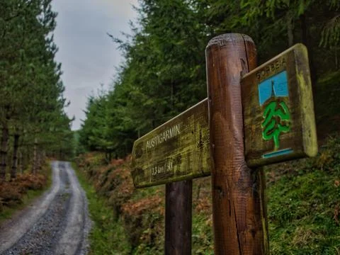 Rustic Gorbea trail sign in the forest - A weathered wooden signpost for th.. Stock Photos