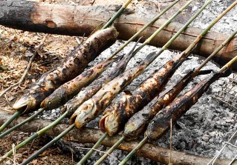 Rustic grilled fish Stock Photos