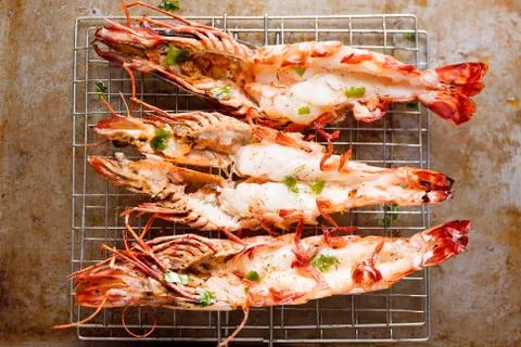 Rustic grilled jumbo prawn Stock Photos
