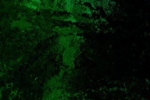 Rustic grunge textured dark green background with cracks Stock Illustration