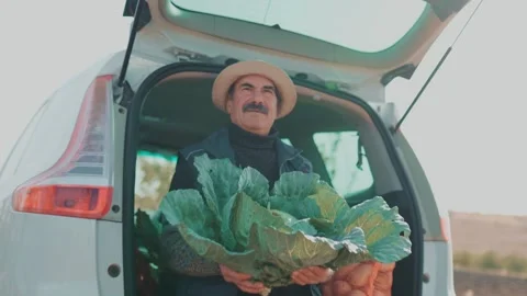 Rustic Harvest Scene Elderly Farmer Admires cabbage Crop in Car Trunk Stock Footage 327221443