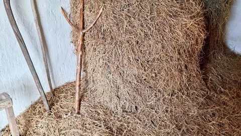 Rustic Haystack Stored Inside Traditional Rural Farm Barn Shed Stock Footage 335861771