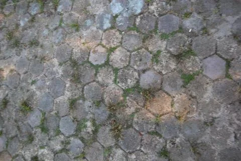 Rustic Hexagonal Pavement Texture with Green Grass Stock Photos