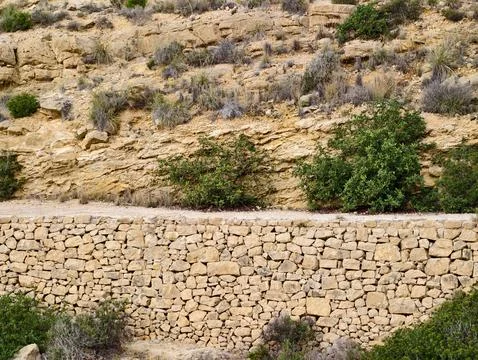 Rustic hillside with dry wall, Arid landscape featuring historic stone barriers Stock Photos
