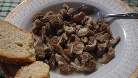 Rustic Homemade Beef Tripe Dish with Bread Stock Footage 322561966