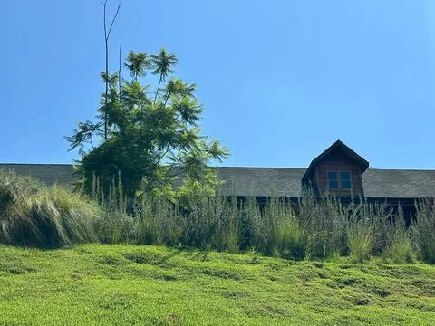 Rustic House Among the Greenery Stock Photos