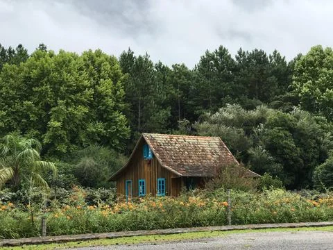 Rustic House in Green Stock Photos