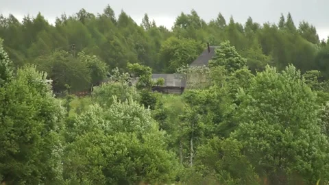 Rustic hut in high winds Stock Footage 168560593
