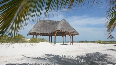 Rustic hut on a tropical beach Stock Footage 139236311
