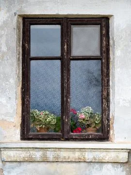A rustic image of an old wooden window with plants and flowers visible behi.. Foto stock