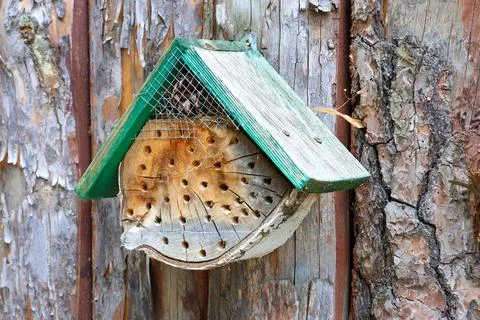 Rustic Insect Hotel on Tree Trunk for Natural Pest Control and Biodiversity Stock Photos