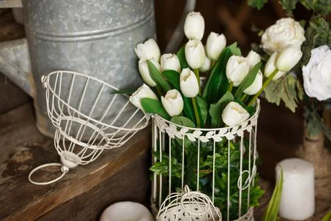 Rustic interior of spring yard. Spring flowers and green plants. Foto stock
