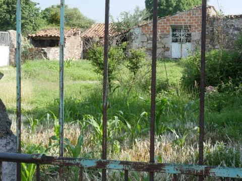 Rustic Iron Gate-Mexico Stock Photos
