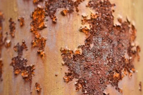 Rustic Iron Sheet Texture Background, Old oxidized Rustic Texture Stock Pho.. Stock Photos